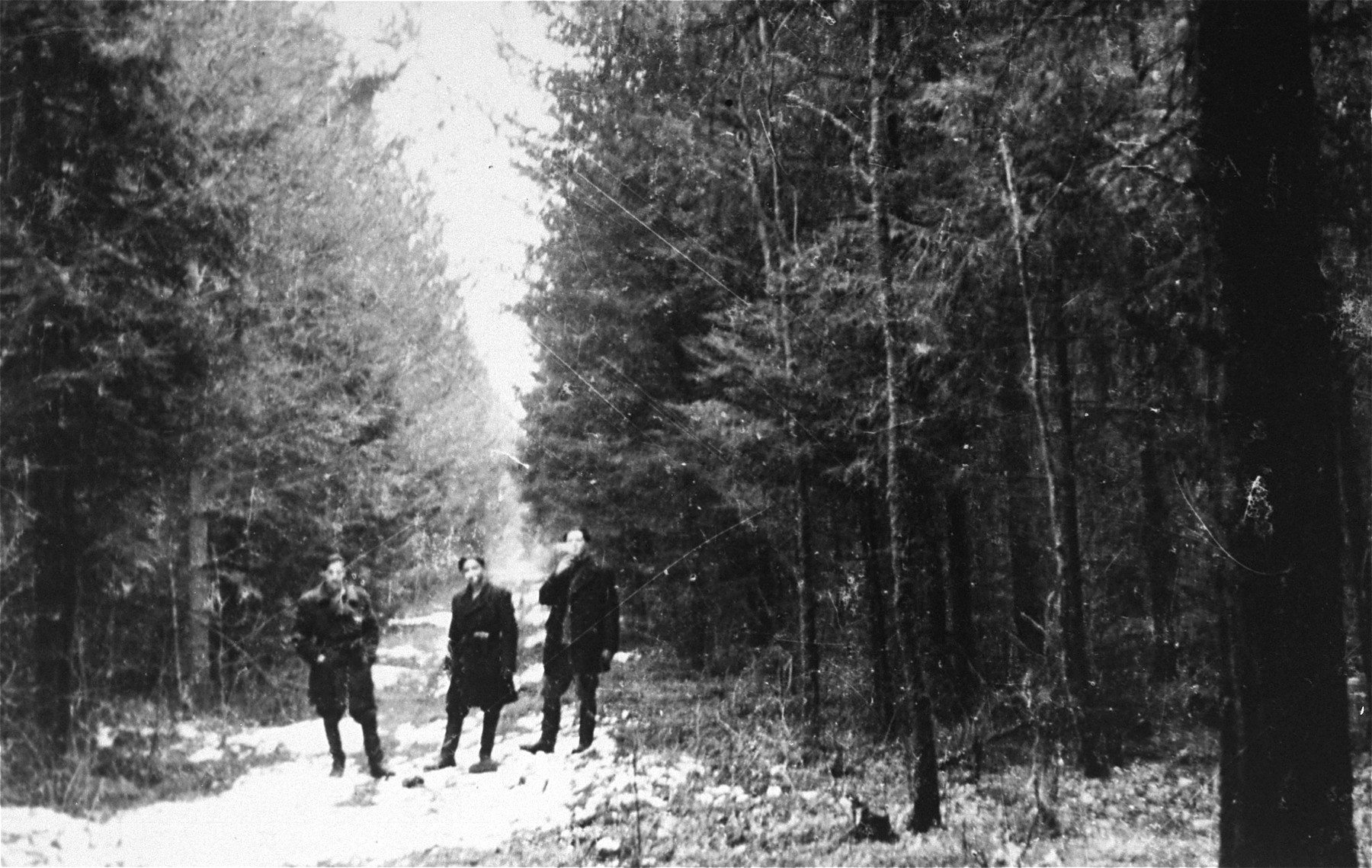Three Jewish partisans, Gabriel Prushchek, Jakub Puttermilch, and Janek Blelak, photographed in the Wyszków forest