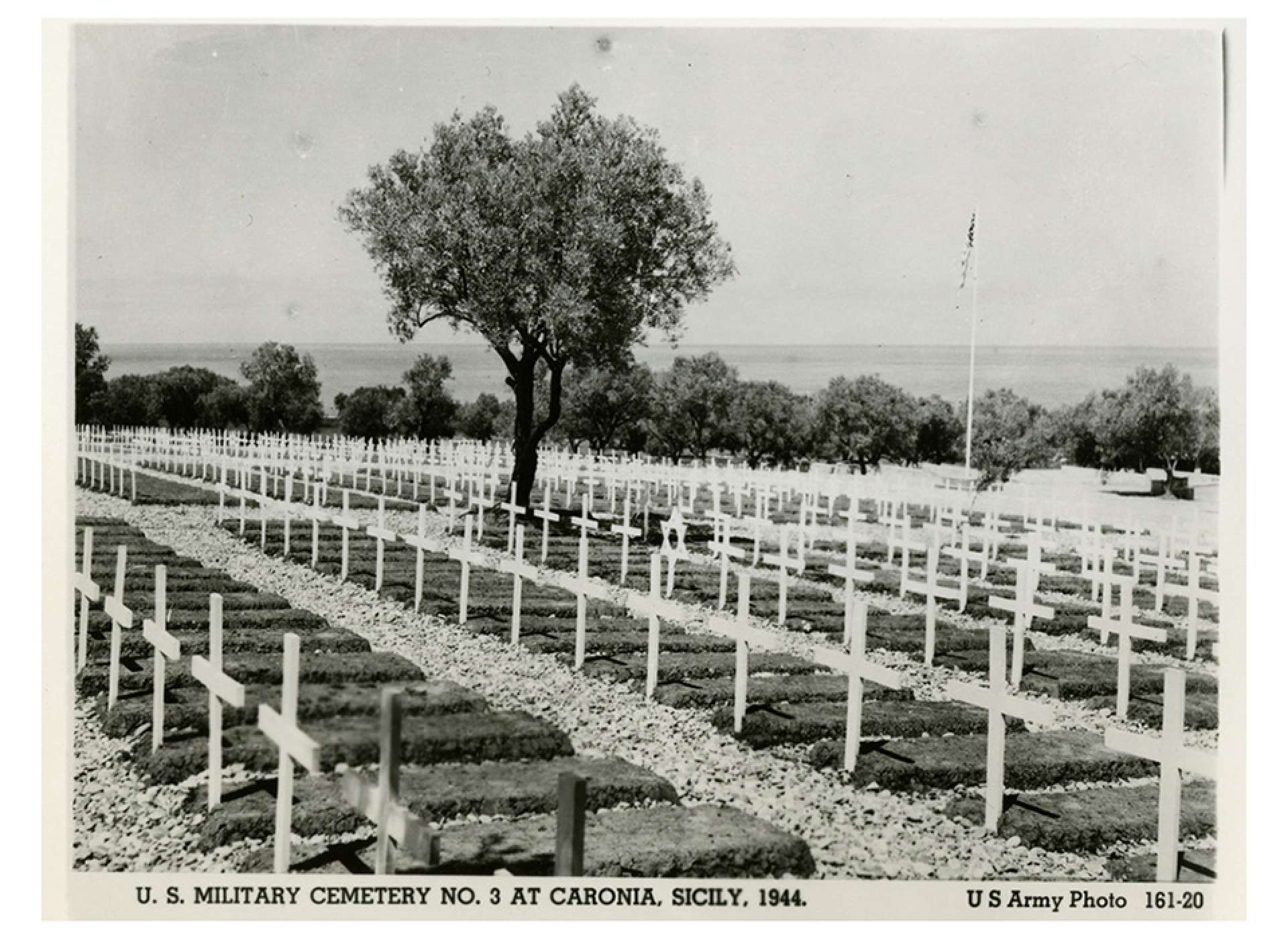 US Army Cemetery Sicily