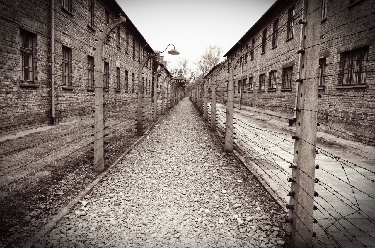 Looking into the Mirror: International Holocaust Remembrance Day | The