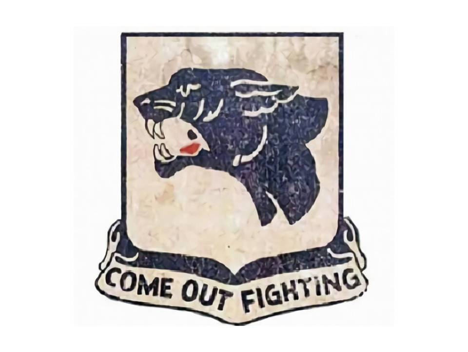 The Black Panthers Enter Combat The 761st Tank Battalion November 1944 The National Wwii Museum New Orleans