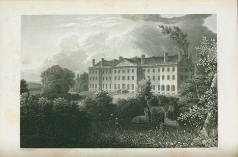 Asylum in New York, via The New York Public Library Digital Collection