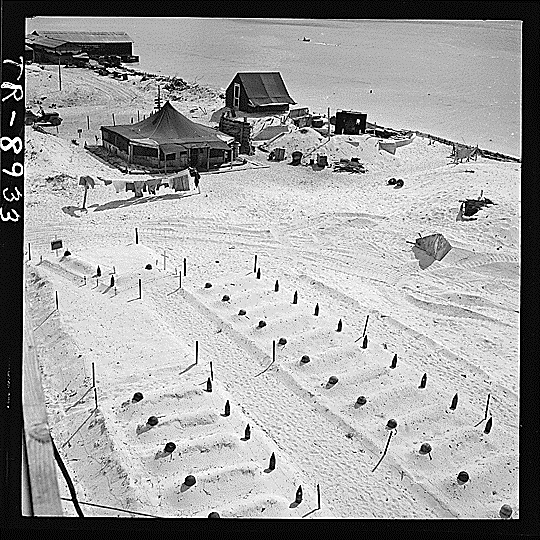 The graves of US Marines who died during the Battle of Tarawa, November 1943