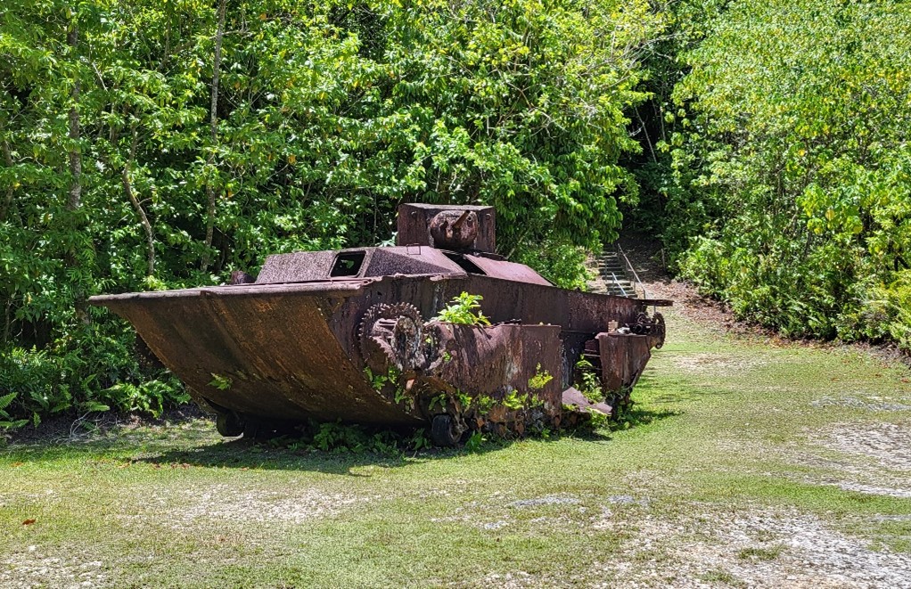An LVT left over from the campaign still ashore on Peleliu