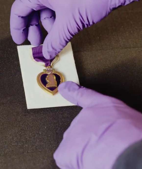 From the Collection Video Category