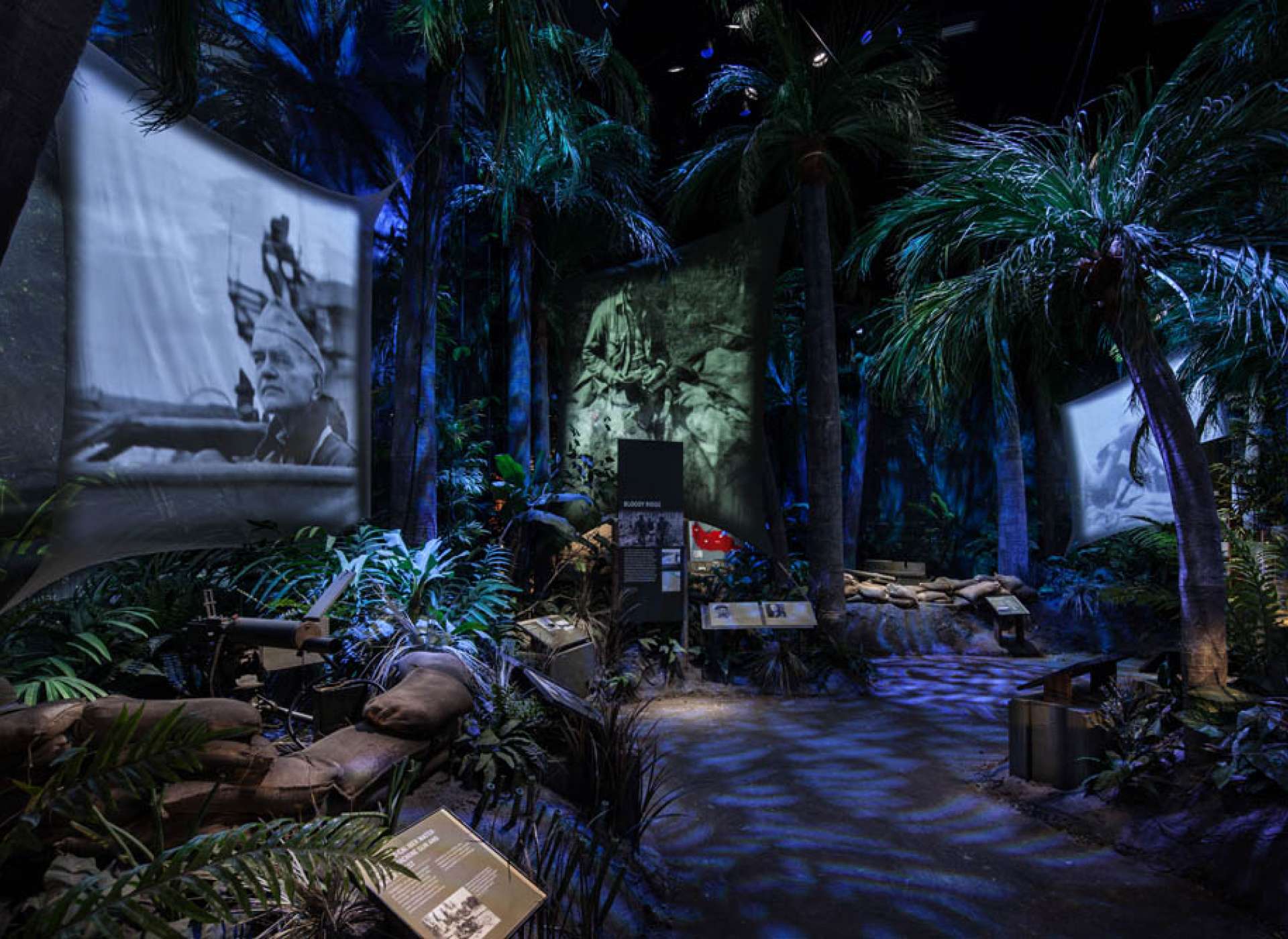 Guadalcanal: Green Hell Gallery in Road to Tokyo