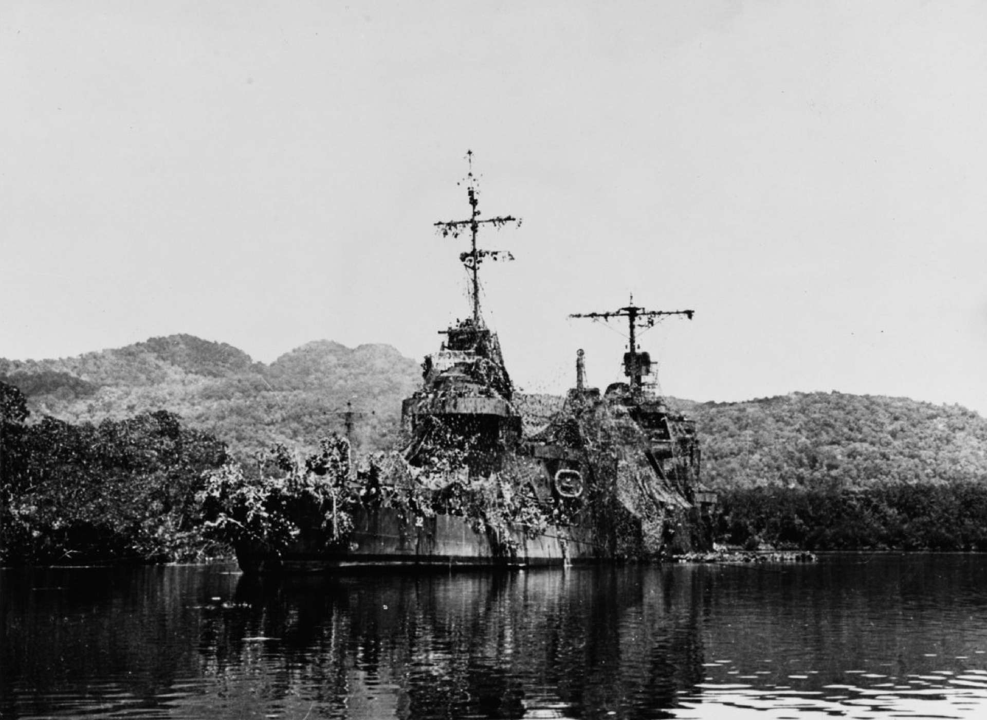 USS New Orleans camo