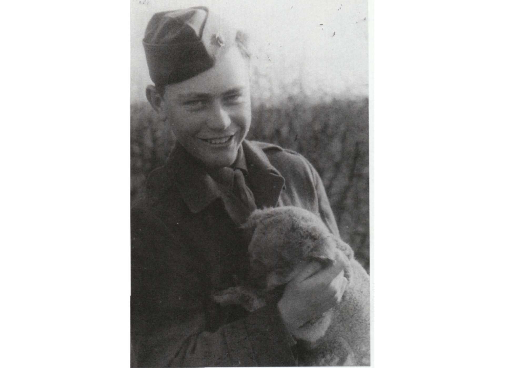 sid phillips with koala