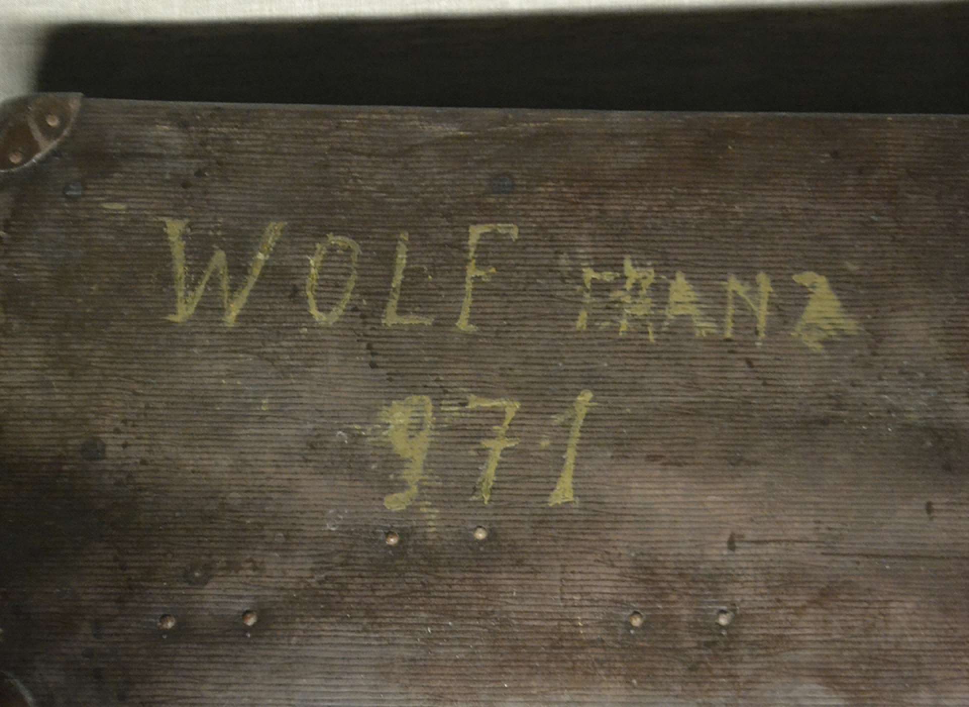 Franz Wolf&#039;s suitcase 