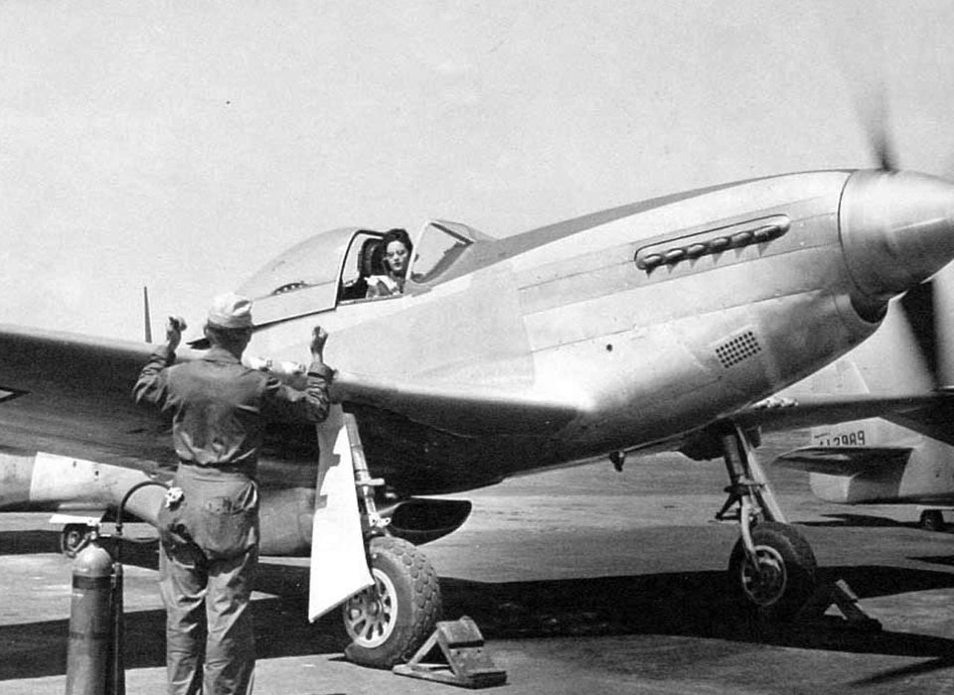 P-51 Pilot