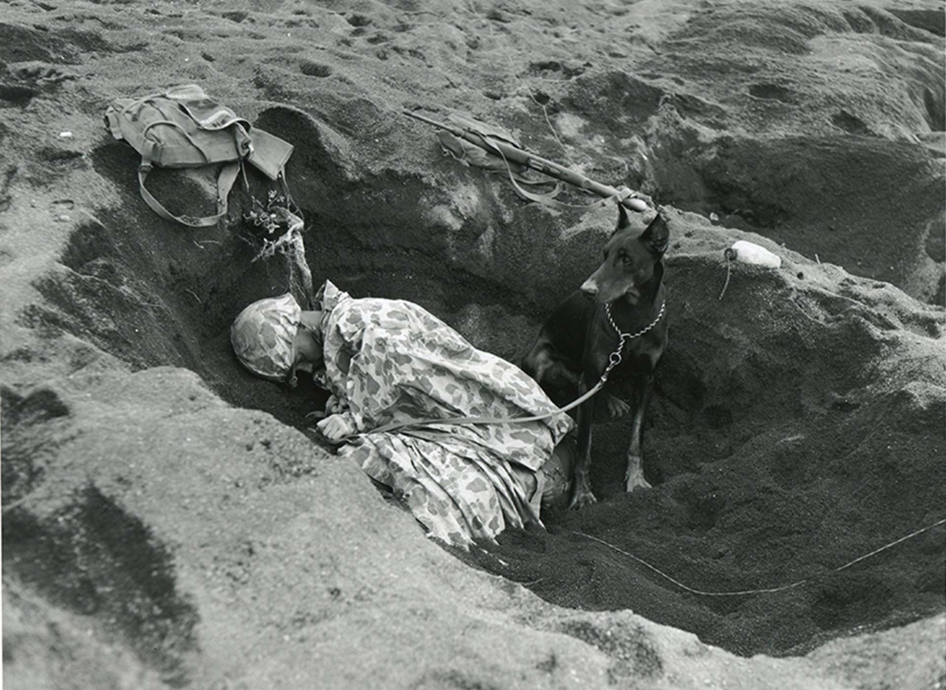 Pfc. Rez P. Hester of the U.S. Marine Corps’ 7th War Dog Platoon on Iwo Jima takes a nap while Butch stands guard. Trained and sent into battle together, war dogs and their partners developed mutual loyalty, protectiveness, and love. National Archives photo.