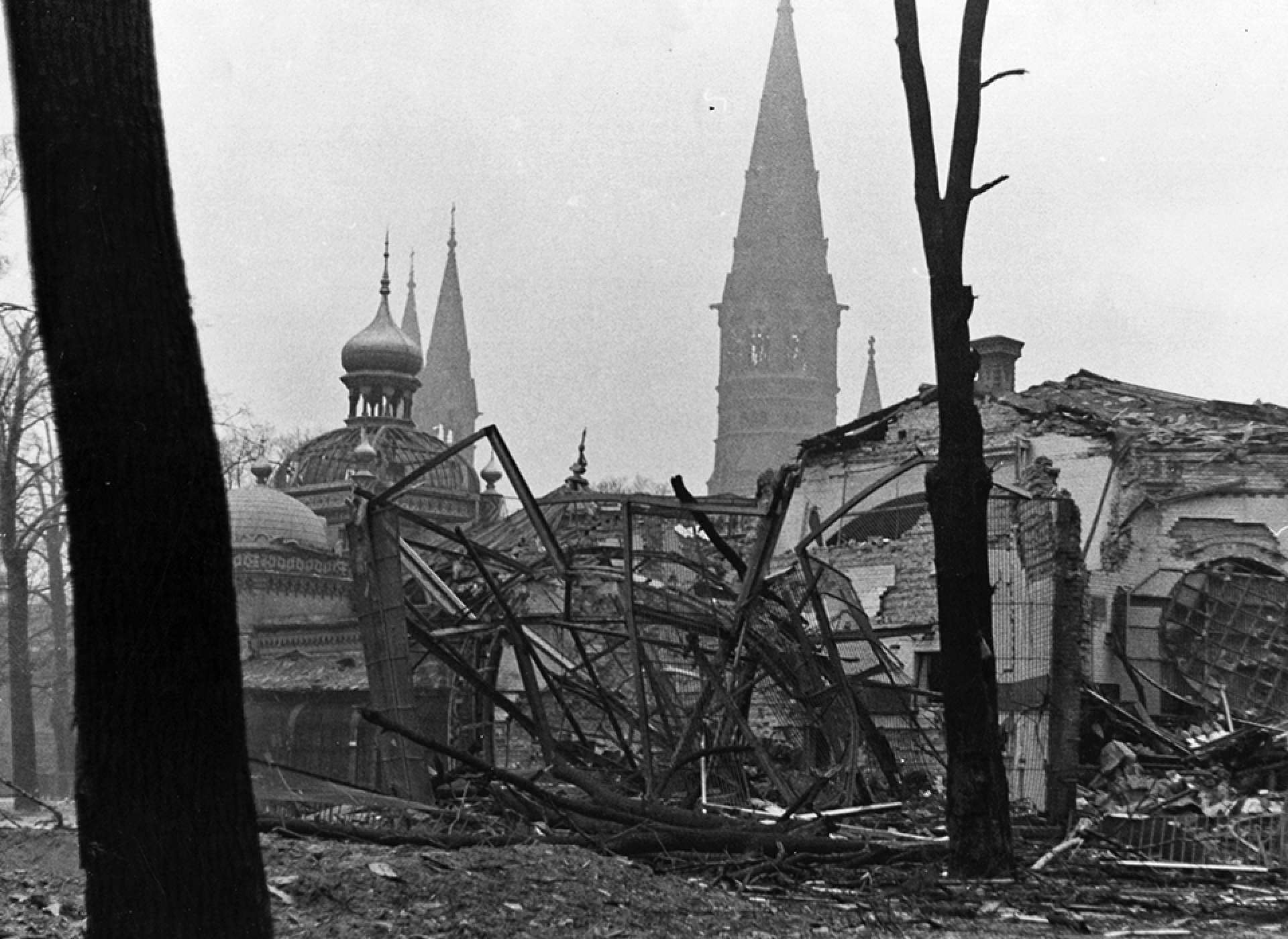 A photo taken by Lutz Heck, Director of the Zoo, of the wreckage of the zoo’s monkey palm house (c. 1943/1944). Image courtesy of Zoolischer Garten Berlin.