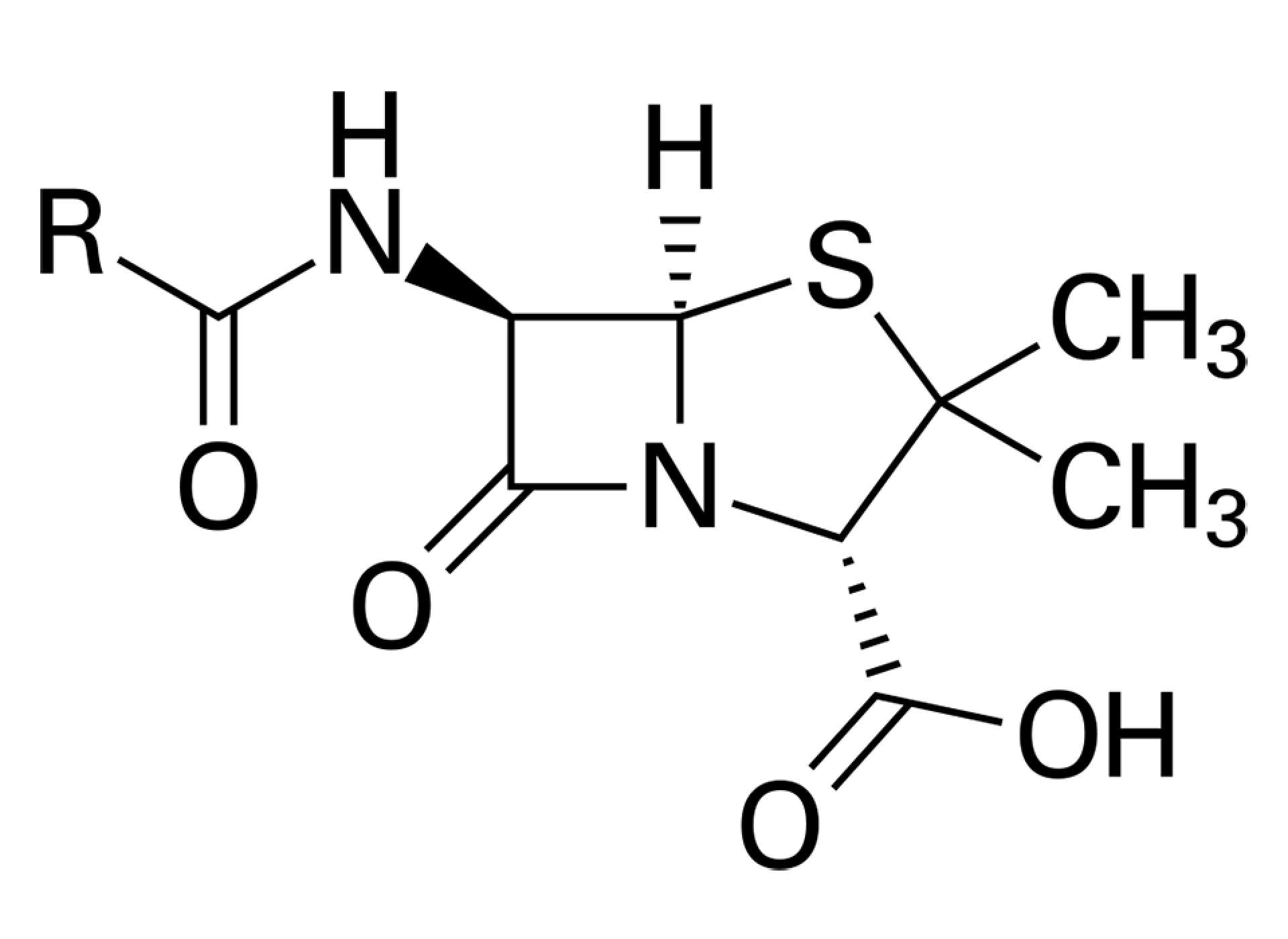 Molecular Diagram Penicillin