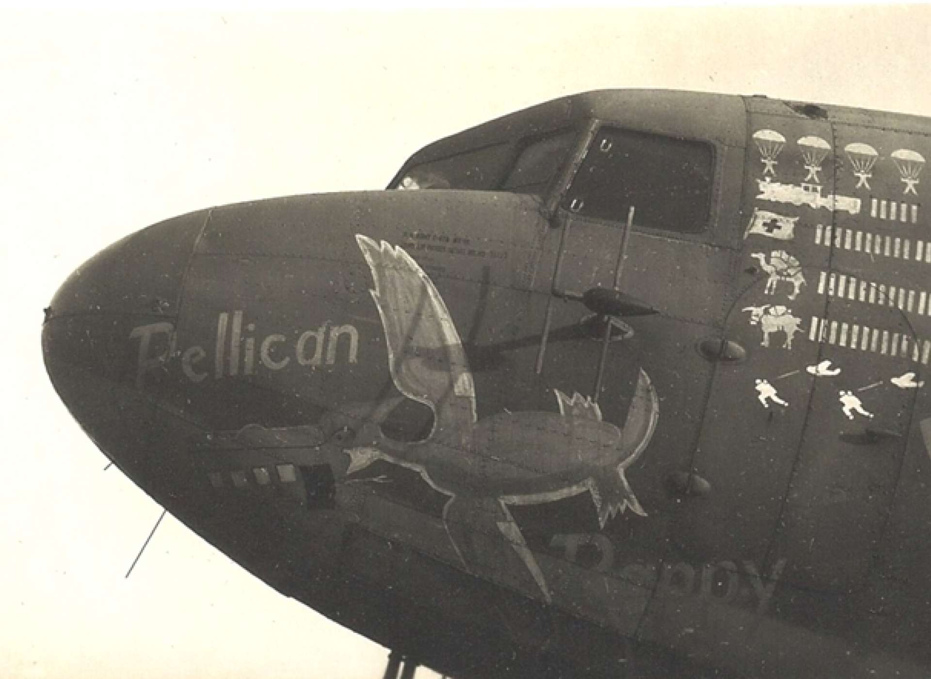 その他 The History of Aircraft Nose Art Ww1 to その他 The History of Aircraft Nose Art Ww1 to Aircraft Nose