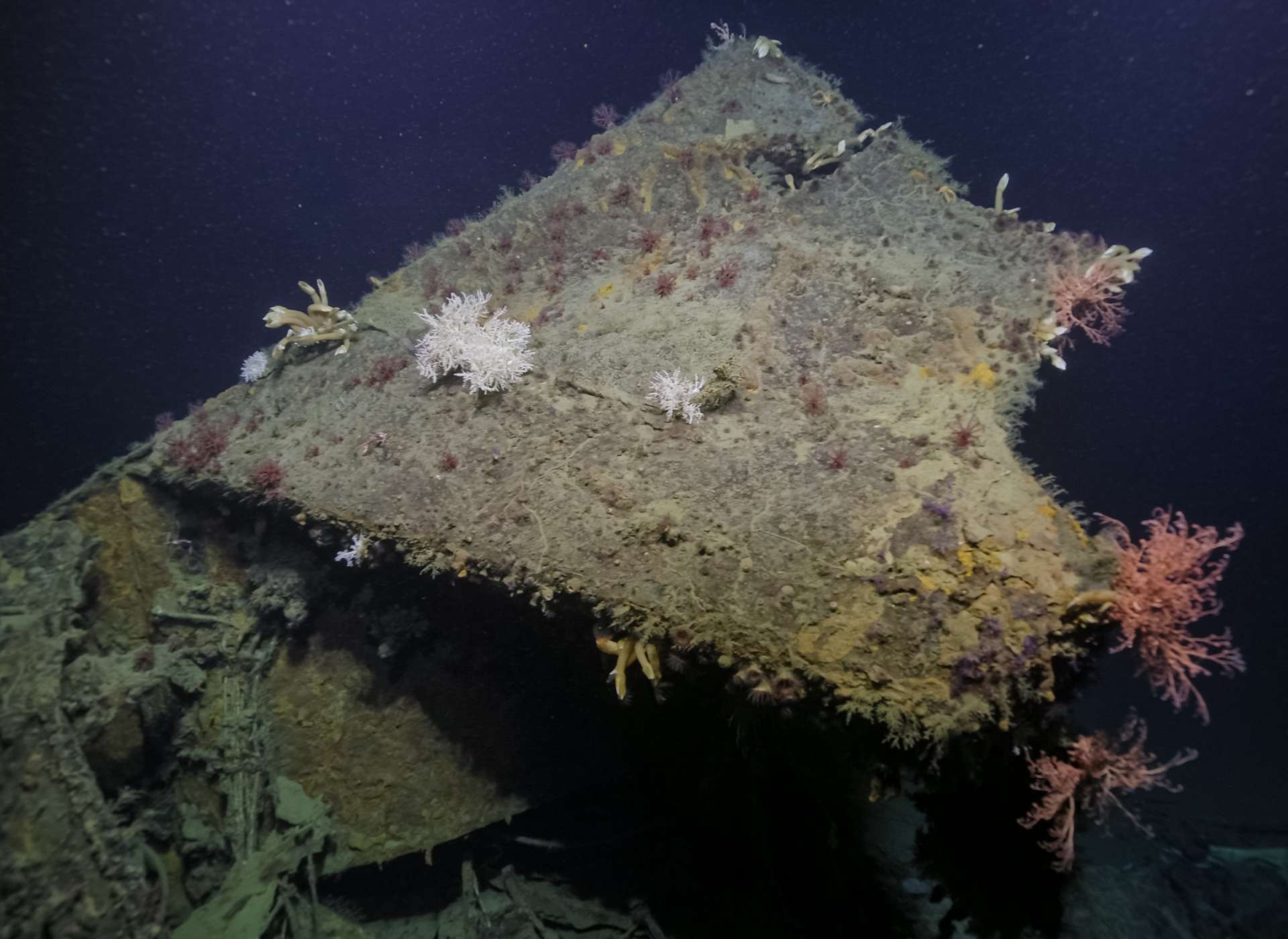 USS New Orleans Bow