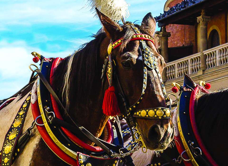 Horse, Germany