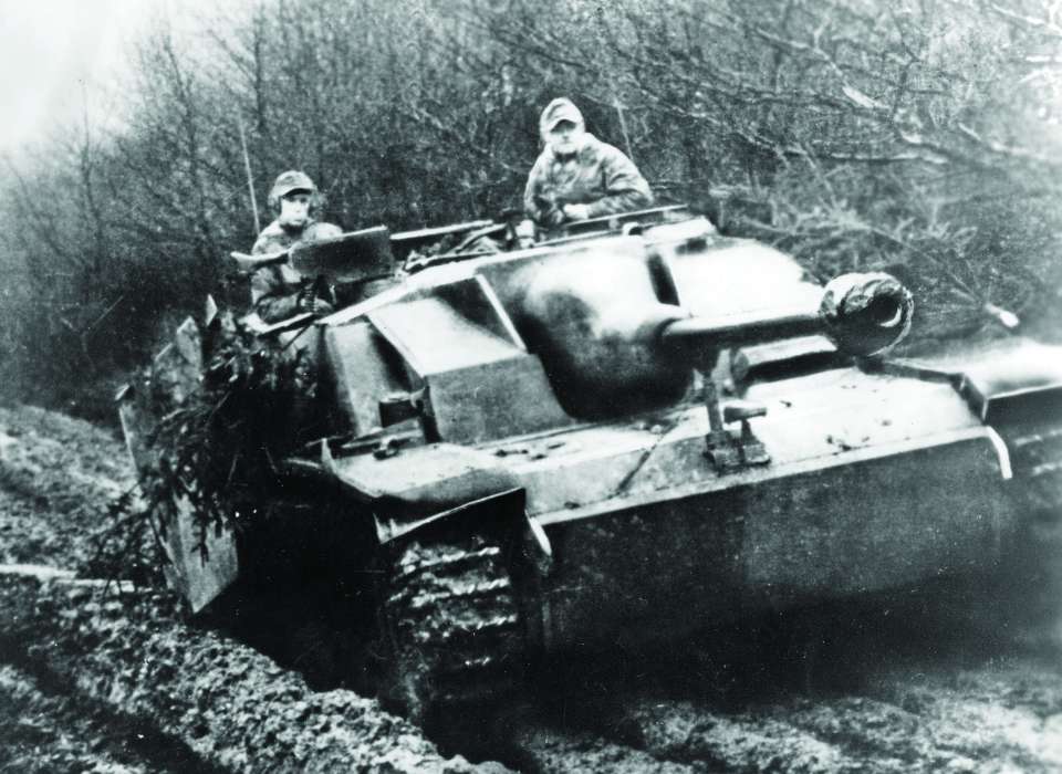 tank forest wwii