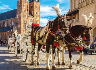 German horses pulling carriage