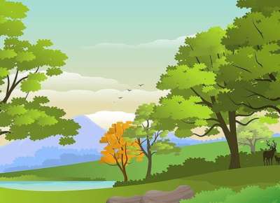Forrest artwork featuring green and orange trees, birds and deer